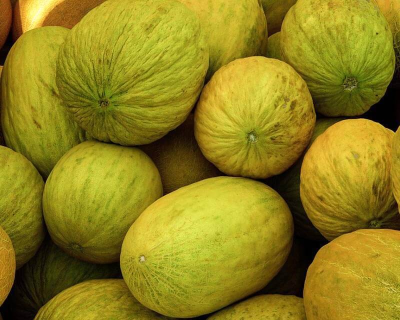 melão - honeydew melon