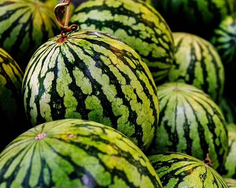 Watermelon - Melancia